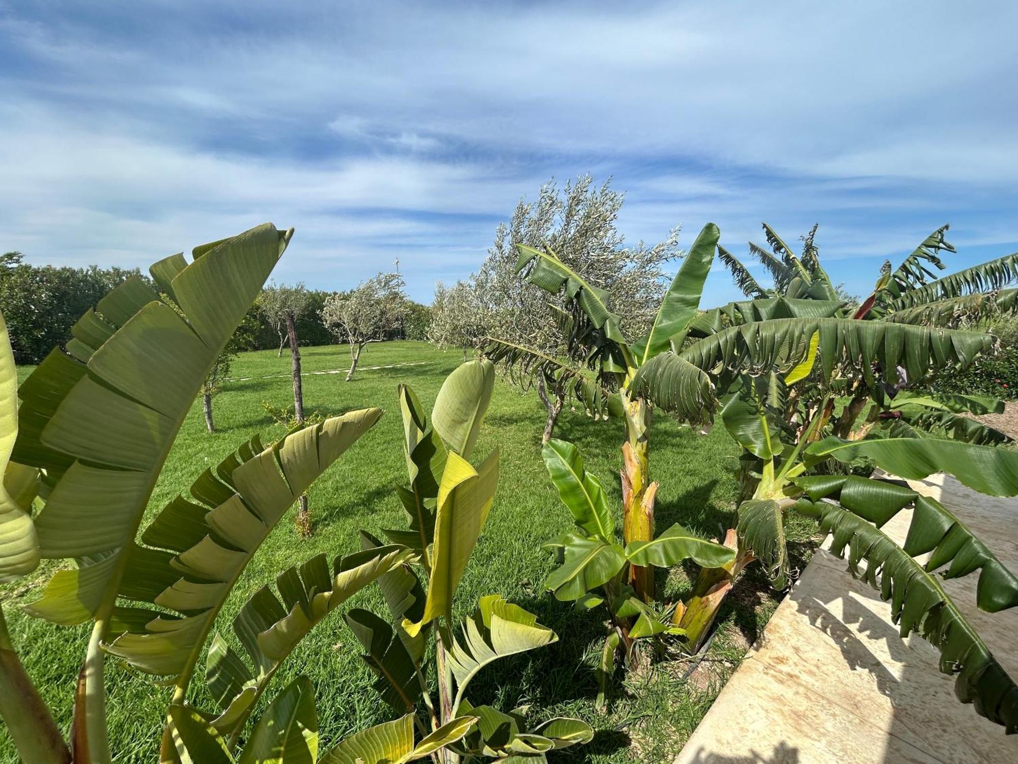 Baglio il Gelso e l'Ulivo appartamento il Fico Noto Esterno foto